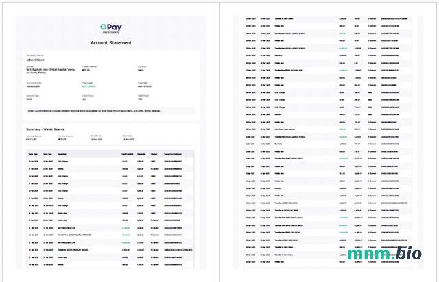 Nigeria Moniepoint Mikrofinansowanie wyciąg z konta bankowego Word i szablon PDF